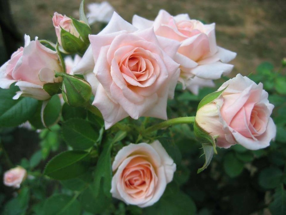 Вика Реутова (@vika__reutova) on Twitter photo <a href="/Alla_Zolotova/">Алла Золотова</a> <a href="/_Yulia_Filatova/">Юлия Филатова</a> <a href="/_GalinaSmirnova/">Галина Смирнова</a> <a href="/_Alina_Panova/">Алина Панова</a> <a href="/Irina__Razumova/">Ирина Разумова</a> <a href="/_Alina_Shilova/">Алина Шилова</a> <a href="/Sveta_Khazova/">Светлана Хазова</a> <a href="/Vlada_Ulisova/">Влада Улисова</a> <a href="/Veronika_Mazina/">Вероника Мазина</a> <a href="/Karina__Lapina/">Карина Лапина</a> <a href="/_Nina_Zinovieva/">Нина Зиновьева</a> <a href="/_Marina_Burina/">Марина Бурина</a> <a href="/_Nadya_Antipova/">Надежда Антипова</a> <a href="/Yulia_Svetlova/">Yulia</a> <a href="/emrekaraman2018/">Emre Karaman</a> <a href="/rpskataria/">Ramphal Kataria رامپھل کٹاریا</a> <a href="/k07901271247/">خالد العزاوي</a> <a href="/vikasknirmal/">VIKAS NIRMAL</a> <a href="/nina__moya/">Нина Лебедева</a> <a href="/kathyan72/">Hannah</a> <a href="/pamelllar/">🌹Pamela🌹</a> <a href="/Marcsi51/">Simon Józsefné Marcsi</a> <a href="/komaritski/">Slinkin SV</a> <a href="/veronikasmolkov/">veronika smolkova</a> <a href="/keikalin020460/">keika♒️🤗💓😸</a> <a href="/GogPeterne/">ARANKA PÉTERNÉ GÓG</a> <a href="/shabasarah/">EL'Sãräh</a> <a href="/roseflourish_13/">Rose 🌹: Maryam.</a> <a href="/dykrh271/">235</a> <a href="/PhotoTimeGeo/">Photo Geo 🌎</a> <a href="/MvVeas/">Mary Veas</a> <a href="/Alla_Zolotova/">Алла Золотова</a> <a href="/_Yulia_Filatova/">Юлия Филатова</a> <a href="/_GalinaSmirnova/">Галина Смирнова</a> <a href="/_Alina_Panova/">Алина Панова</a> <a href="/Irina__Razumova/">Ирина Разумова</a> <a href="/_Alina_Shilova/">Алина Шилова</a> <a href="/Sveta_Khazova/">Светлана Хазова</a> <a href="/Vlada_Ulisova/">Влада Улисова</a> <a href="/Veronika_Mazina/">Вероника Мазина</a> <a href="/Karina__Lapina/">Карина Лапина</a> <a href="/_Nina_Zinovieva/">Нина Зиновьева</a> <a href="/_Marina_Burina/">Марина Бурина</a> <a href="/_Nadya_Antipova/">Надежда Антипова</a> <a href="/Yulia_Svetlova/">Yulia</a> <a href="/emrekaraman2018/">Emre Karaman</a> <a href="/rpskataria/">Ramphal Kataria رامپھل کٹاریا</a> <a href="/k07901271247/">خالد العزاوي</a> <a href="/vikasknirmal/">VIKAS NIRMAL</a> <a href="/nina__moya/">Нина Лебедева</a> <a href="/kathyan72/">Hannah</a> <a href="/pamelllar/">🌹Pamela🌹</a> <a href="/Marcsi51/">Simon Józsefné Marcsi</a> <a href="/komaritski/">Slinkin SV</a> <a href="/veronikasmolkov/">veronika smolkova</a> <a href="/keikalin020460/">keika♒️🤗💓😸</a> <a href="/GogPeterne/">ARANKA PÉTERNÉ GÓG</a> <a href="/shabasarah/">EL'Sãräh</a> <a href="/roseflourish_13/">Rose 🌹: Maryam.</a> <a href="/dykrh271/">235</a> <a href="/PhotoTimeGeo/">Photo Geo 🌎</a> <a href="/MvVeas/">Mary Veas</a>