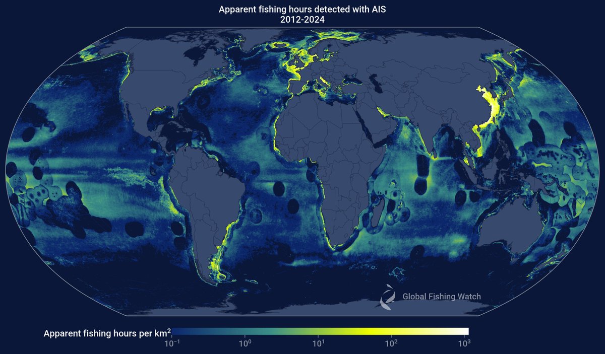 🚀 HUGE NEWS! We’ve released the latest version of our public apparent fishing effort dataset.

It now covers 2012-2024, adding:
▪️ 4 additional years of data
▪️ Nearly 370M hours of fishing activity by over 141,000 unique MMSI

➡️ See what else is new. bit.ly/4kLO1Uh