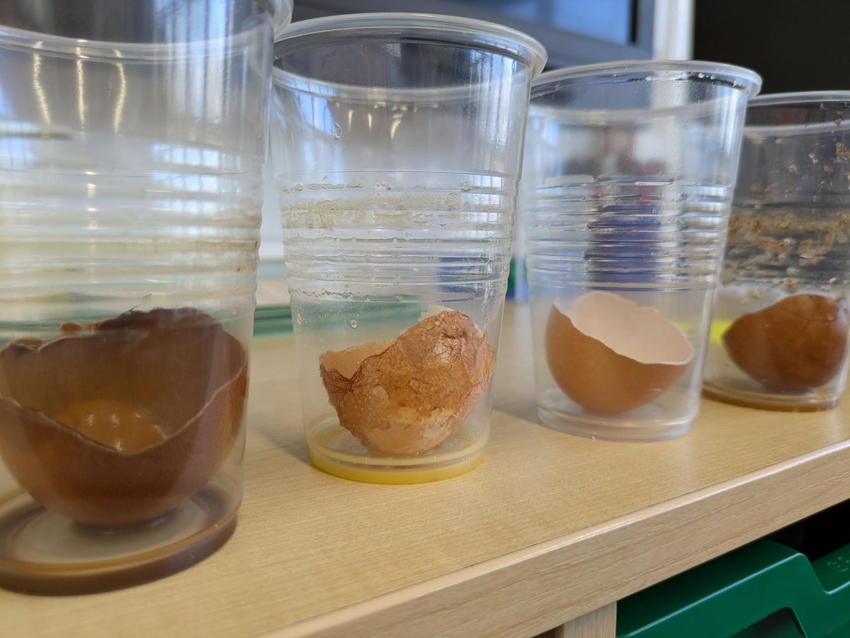 stphilipsrc's tweet photo. Lots of fun science in Class 9 this week to celebrate #BritishScienceWeek ๐งช #StPhilipsScience๐งโ๐ฌ๐ฉโ๐ฌ https://t.co/67lbUPUmRb