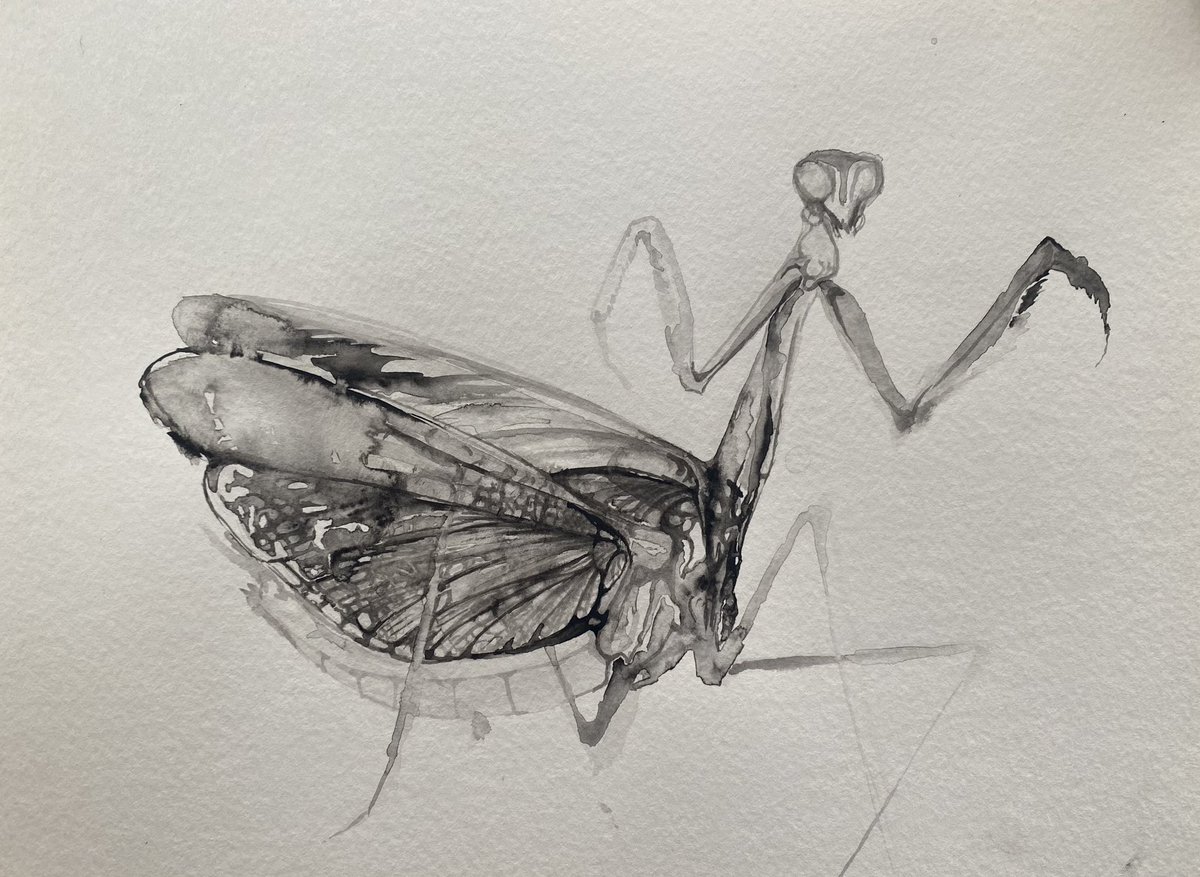 invivocreo's tweet photo. Praying mantis. Going live on kick - link in bio. 

#kick #art #artistic #abstract #watercolor #blackandwhite #mantis #leaf #growth #invivo #invivocreo #livesimply #liveauthentic #crowe #crowefam https://t.co/IWLPrZimrK