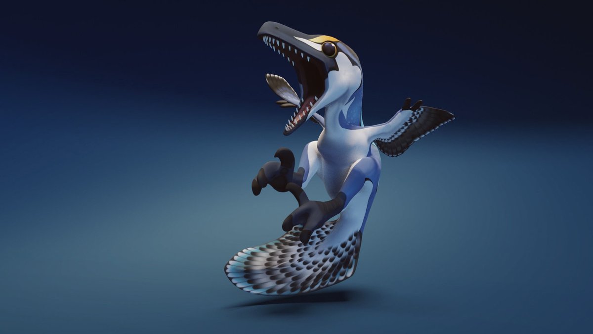 Austro raptor  for our game  We are still super early in development But we plan to make a sandbox game with dinosaurs... something like Baby's First Dinosaur Survival 😄 

#dinosaurs #austroraptor #devlog #dino