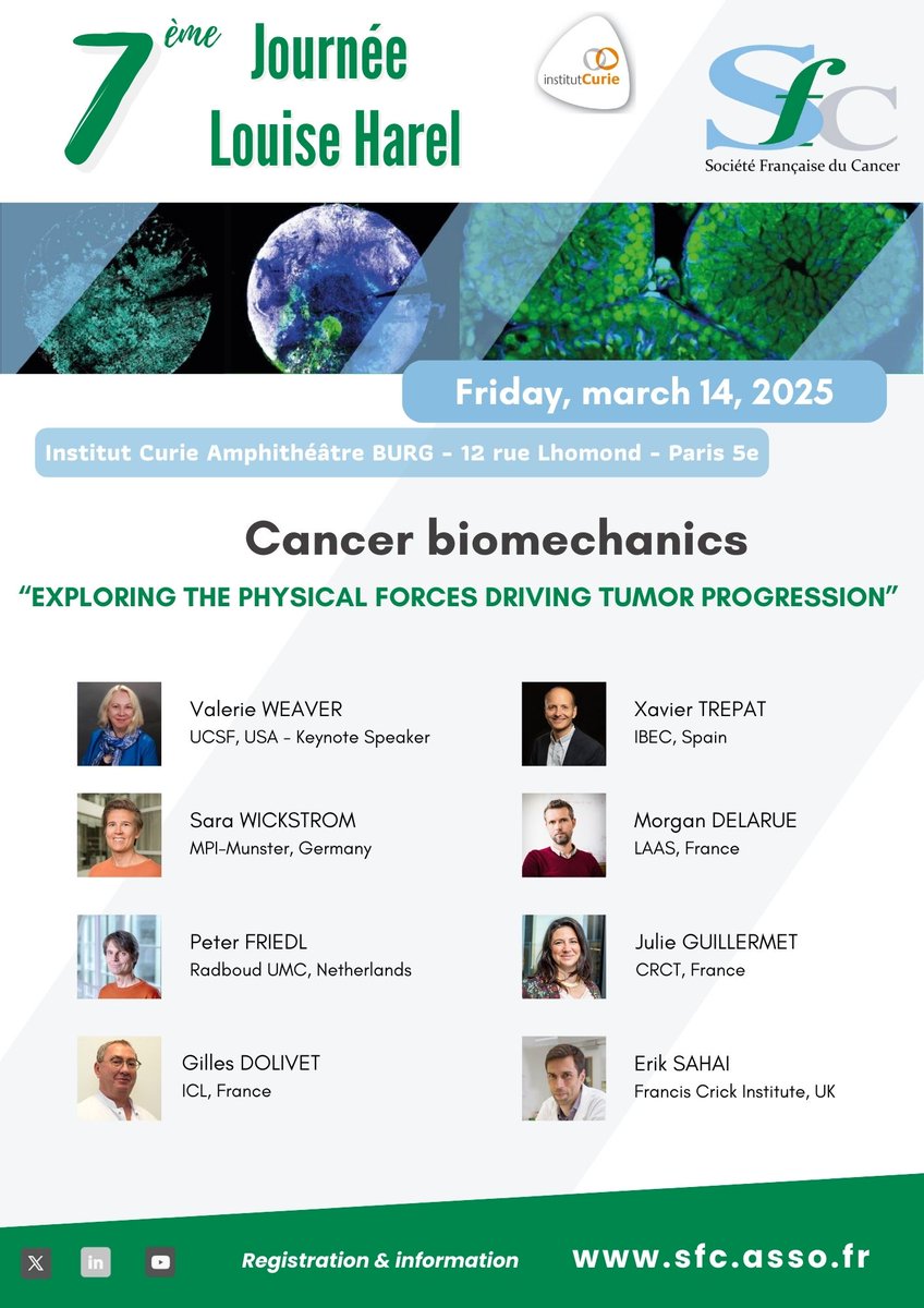 Société Française du Cancer tweet media