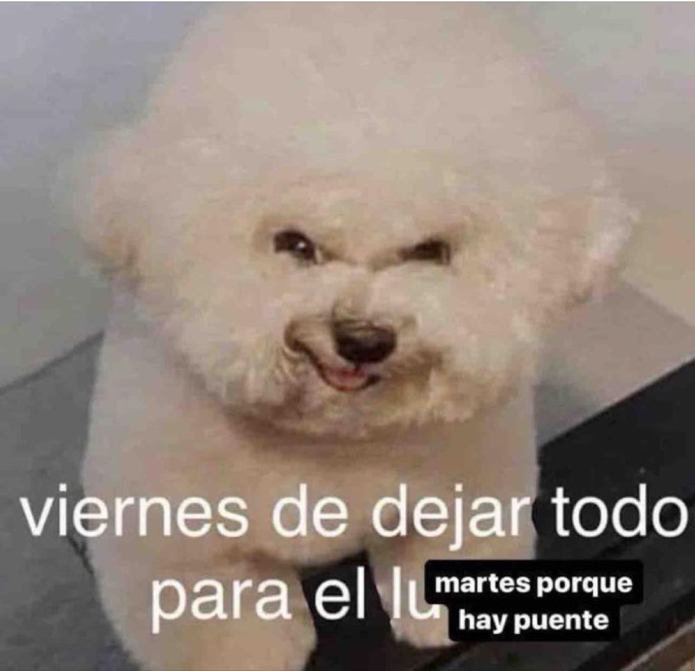 El Guarromántico tweet media