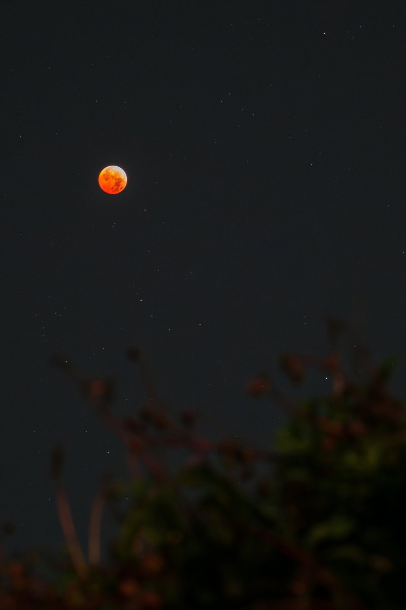 Volcanero chapín 🌋📷 tweet media