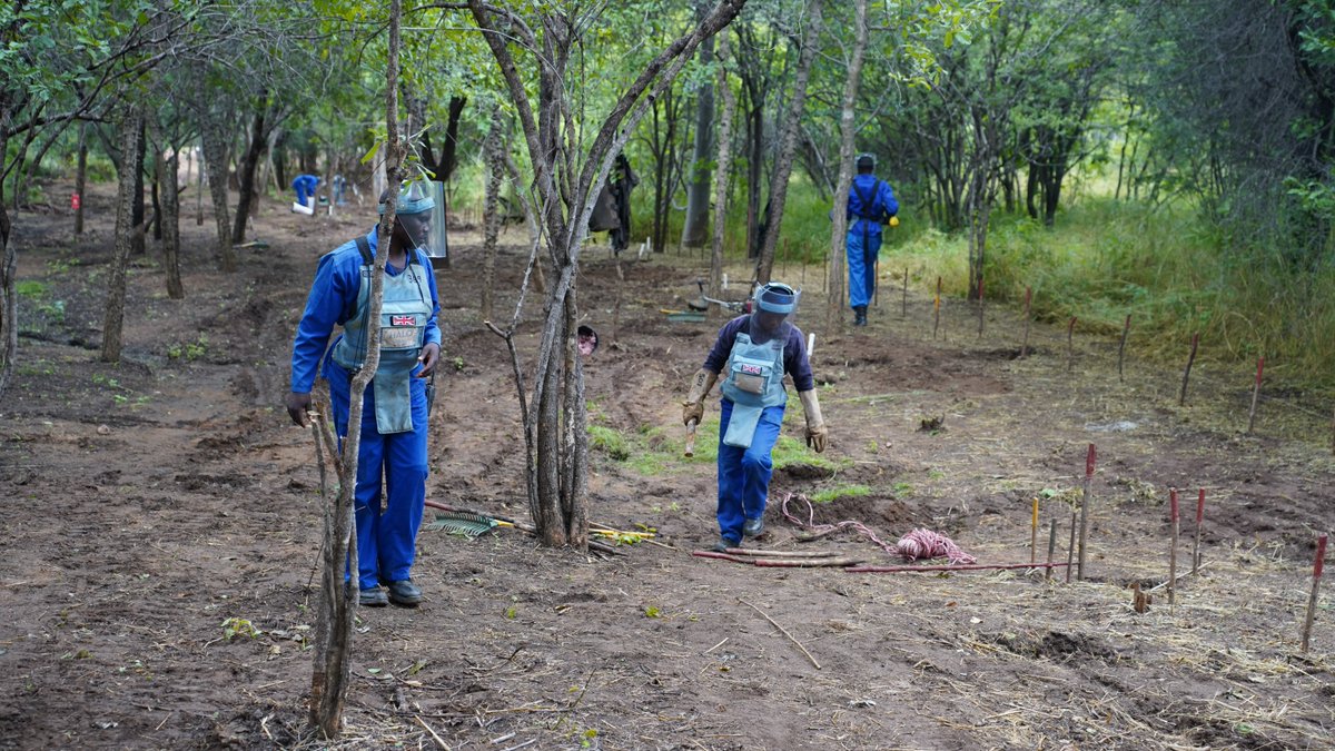 TheHALOTrust's tweet photo. Thanks to the support of 🇬🇧 @ukinzimbabwe, since 2018 we have been able to clear over 10 square km of land in 🇿🇼 #Zimbabwe, with over 150,000 people benefitting from this vital work.

@FCDOGovUK @MAGsaveslives https://t.co/BLkTnj9iGP