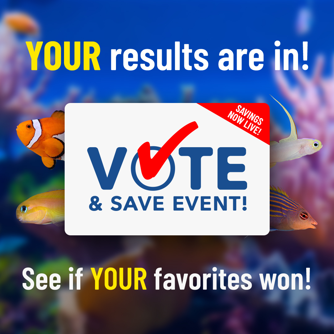 LiveAquaria's tweet photo. Save 20%, 25% or 30% right now! Your favorite fish were voted for, and the results are in. Shop the most popular saltwater fish at great savings during our Vote &amp; Save event. Ends soon. https://t.co/5WaOrwuInr
#saltwater #marine #reef #nanofish #reefsafefish #nano #fishsale https://t.co/RW71MXv0Ak