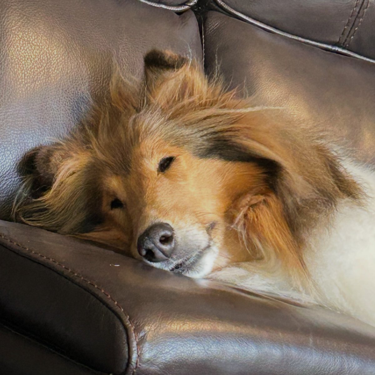 ✔️ sun ☀️ 😎 
✔️ sleep 😴 
✔️ spring break 👍