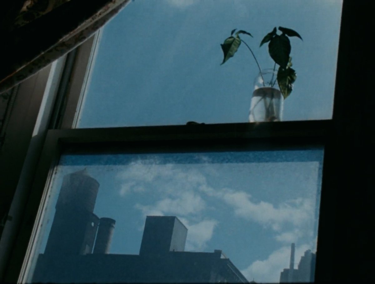 mubi's tweet photo. AS I WAS MOVING AHEAD OCCASIONALLY I SAW BRIEF GLIMPSES OF BEAUTY (Jonas Mekas, 2000.) https://t.co/YiG01kw7Tb