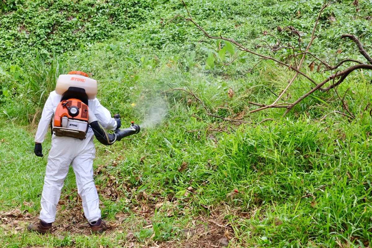 Image de Préfet de La Réunion