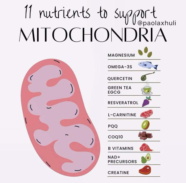 Your health is failing because your mitochondria are broken.

Broken mitochondria = relentless fatigue.
Broken mitochondria = brain fog that won’t lift.
Broken mitochondria = stubborn fat that won’t budge.
Broken mitochondria = anxiety and restless nights.
Broken mitochondria =