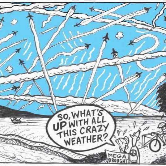 CogzLogz's tweet photo. #chemtrails https://t.co/aiIlwXJPvT