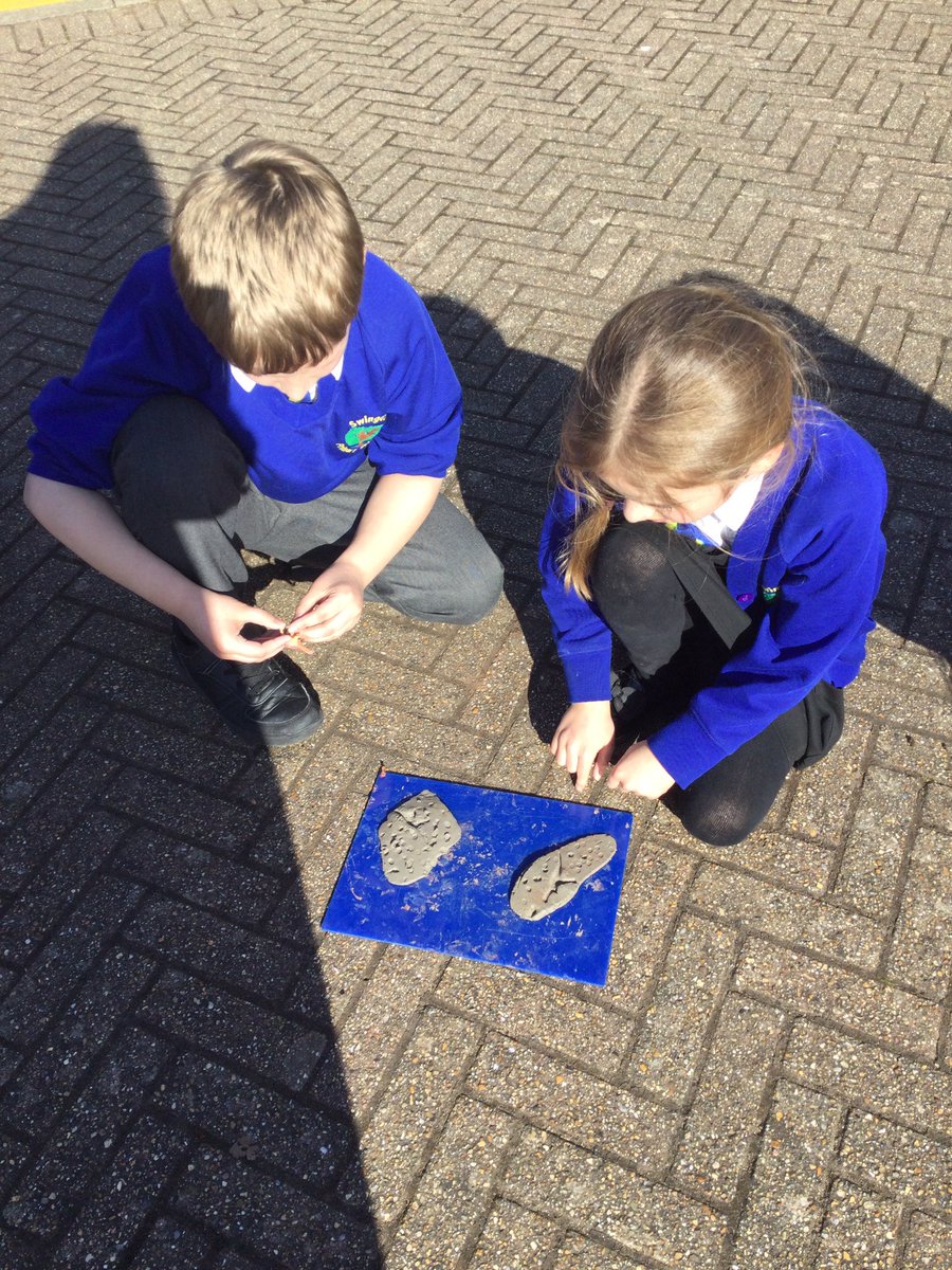Making fossils today after being inspired by Mary Anning 🦴🐚🦖 #BritishScienceWeek <a href="/SwingatePrimary/">Swingate Primary</a>