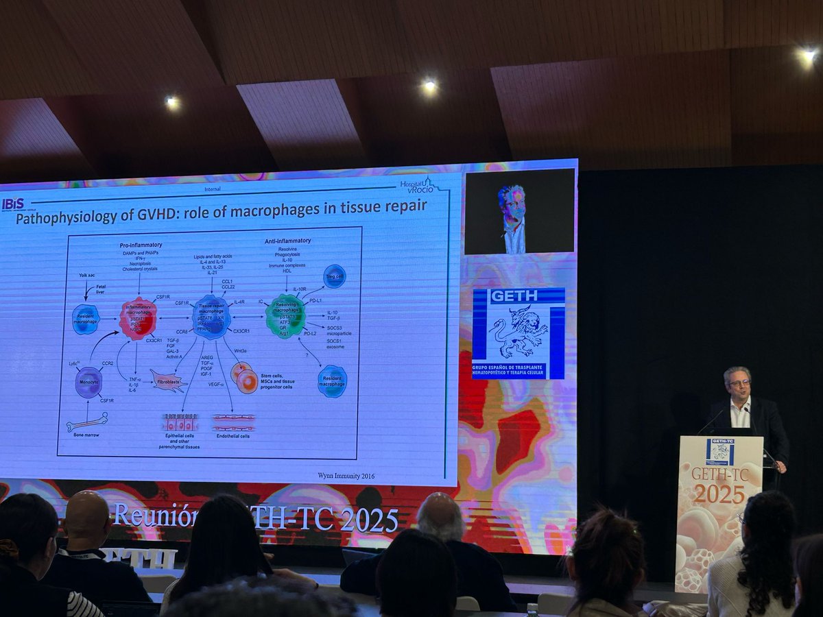 HematoHUVR's tweet image. Reunión anual @GETH_info: los #trasplantes en España continúan aumentando a la vez que siguen mejorando los resultados. 
José Antonio Pérez Simón, nuestro jefe de servicio, ha hablado sobre la #EICR, una de las principales complicaciones.
@sehh_es @HospitalUVRocio @ibis_sevilla