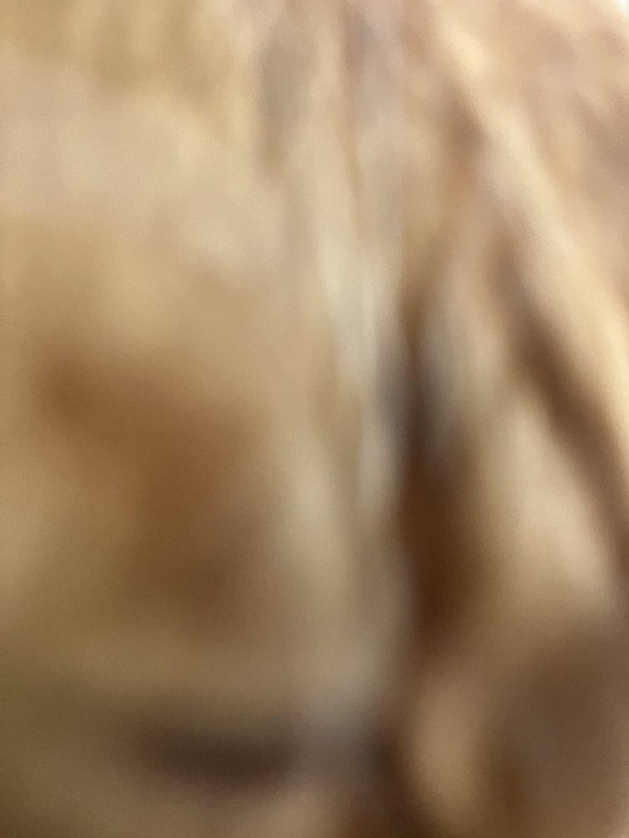 アタックオブにゅーねこし 