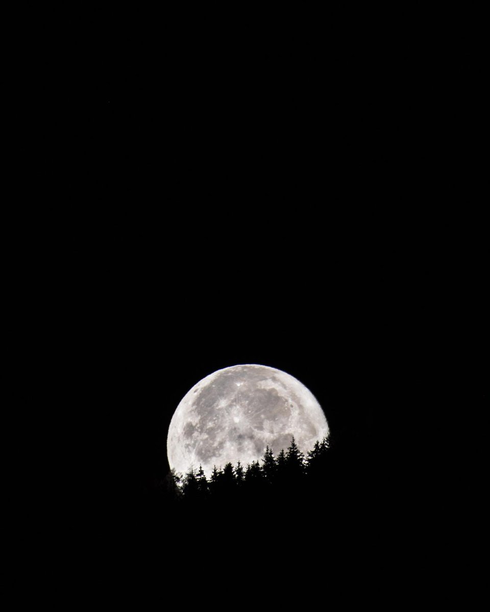 travtasy's tweet photo. Full #Moon 🌕 https://t.co/ZigGPPPh5F