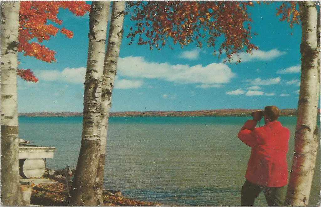 lateitel's tweet image. Torch Lake in the 1950s