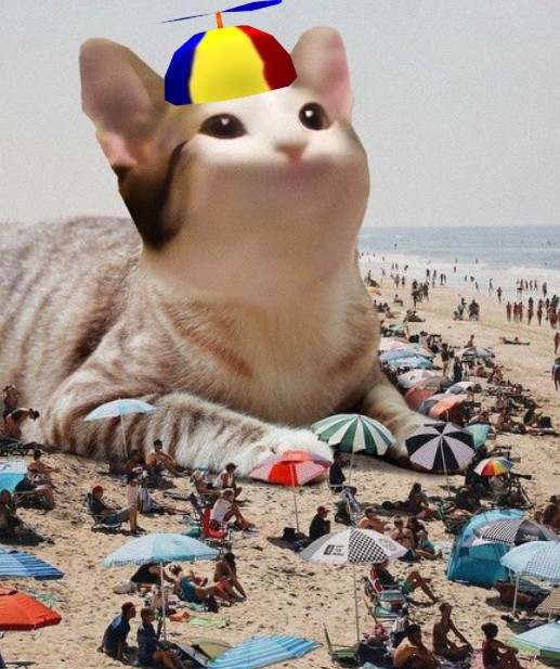 wowcat_sol's tweet photo. @MustStopMurad check out pwease meta, $wowcat~! https://t.co/SYFuHTaO63