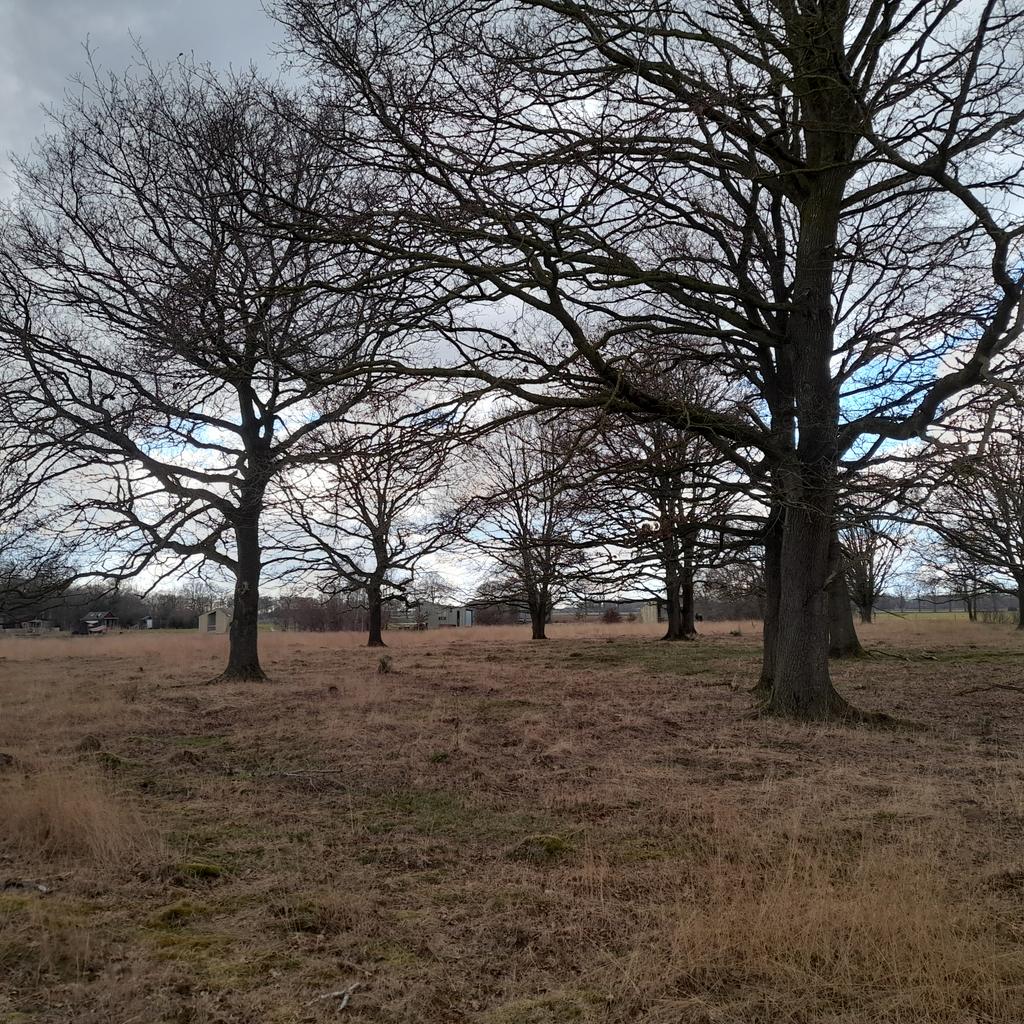 jan7veen's tweet photo. Voscheheugte https://t.co/4HEd7h8dc7