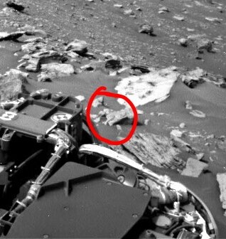 Pellucop's tweet photo. @Gandalf_ElPulpo @NASA this is a fish ??? https://t.co/fp7MqNCmwI