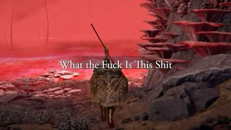 berserksouls's tweet photo. https://t.co/QKyBVjo0Cd