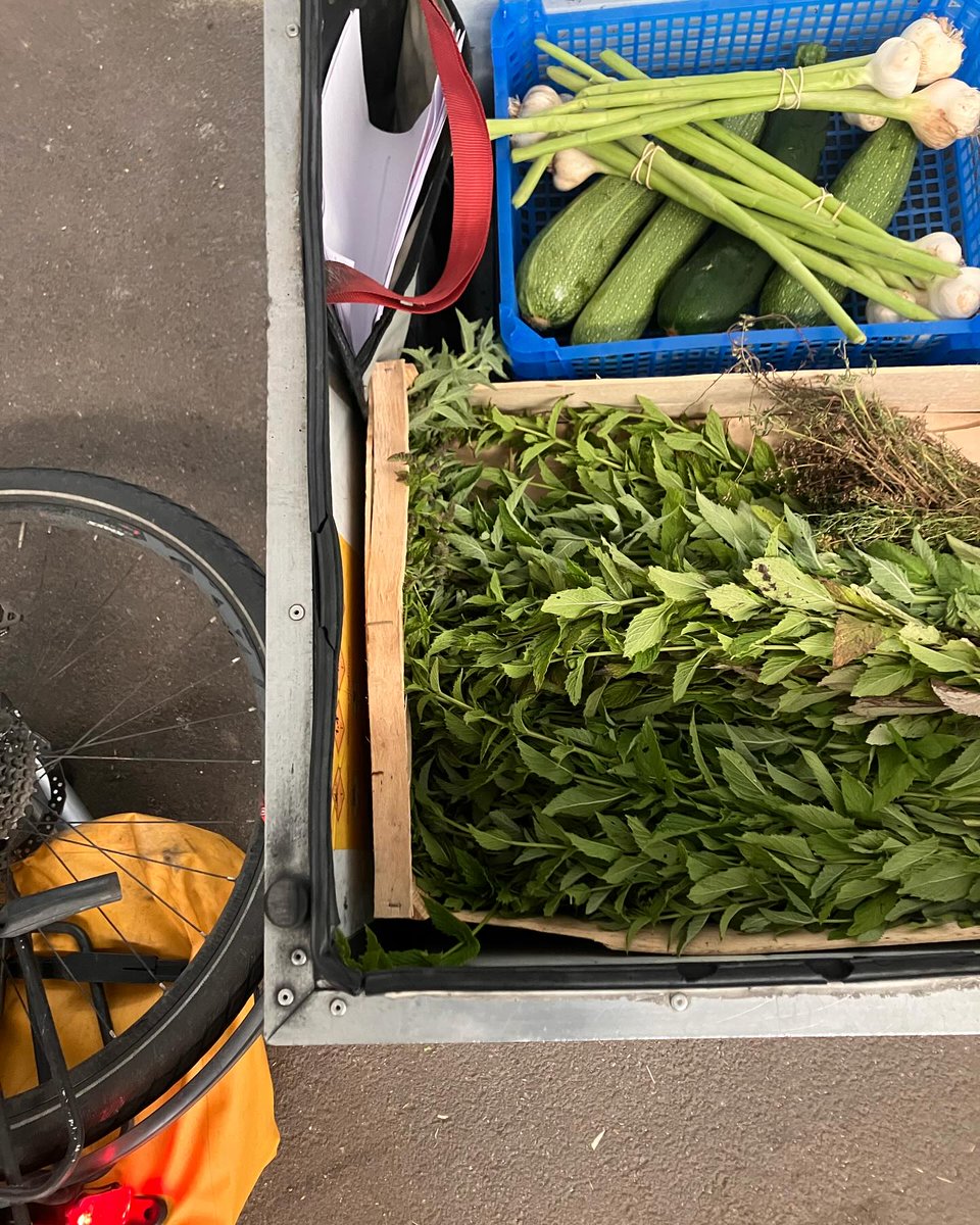 course_green's tweet photo. Du producteur aux restaurateurs et commerçants du centre ville de @nantesfr , il n’y a que quelques coups de pédales 🚴🏻

https://t.co/XFp3usilrt https://t.co/jFiA48Qe07