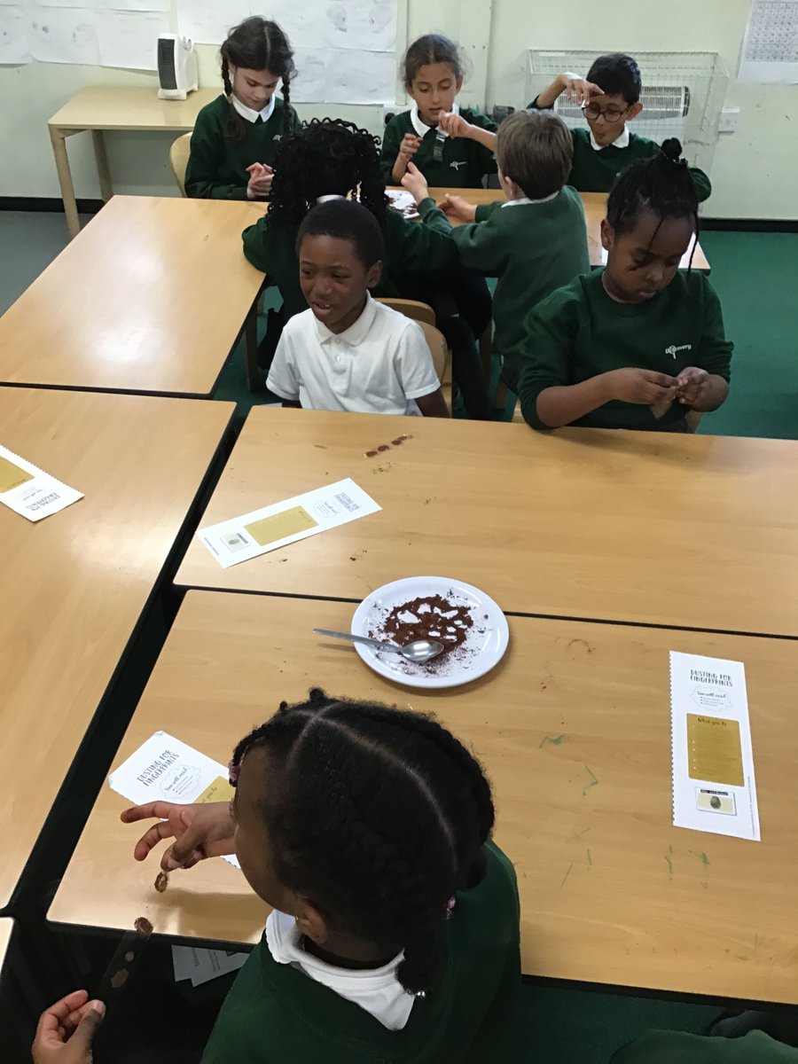 Discovery Primary School Year 3 tweet media