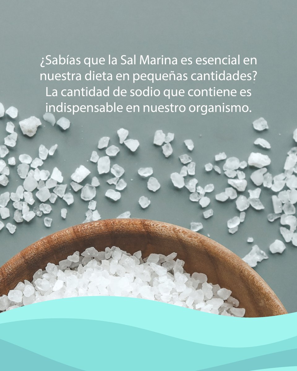 Asociación SALIMAR tweet media