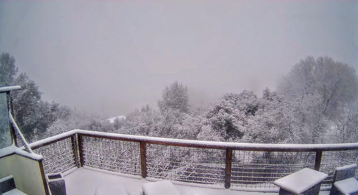 Waking up to a winter wonderland in Kelseyville on Mt.Konocti in lovely Lake County this morning.
39° countywide at 7:45a
 with a rain, snow mix expected to last throughout the day. 

<a href="/DrewTumaABC7/">Drew Tuma</a>