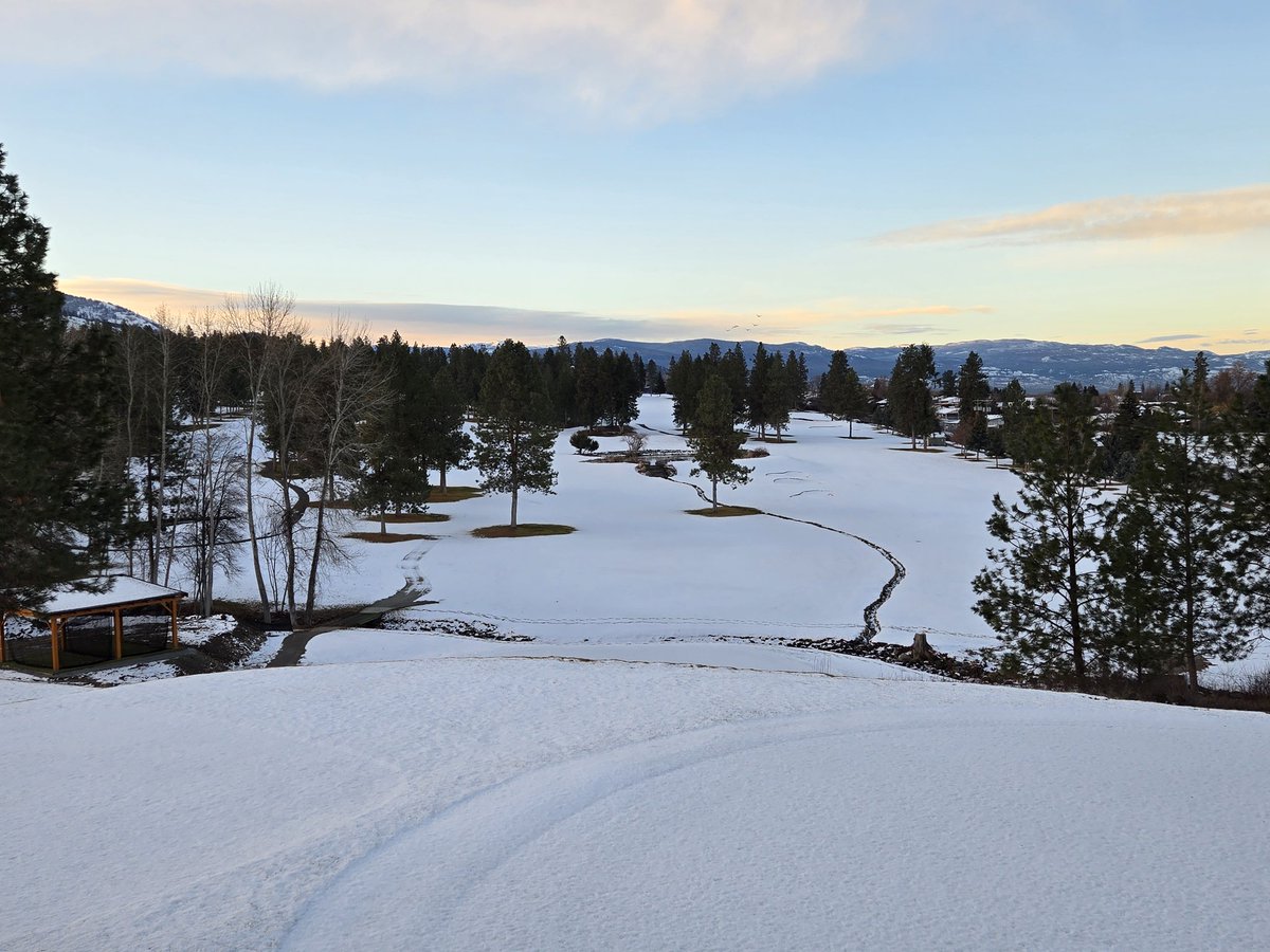 Greg Austin tweet media