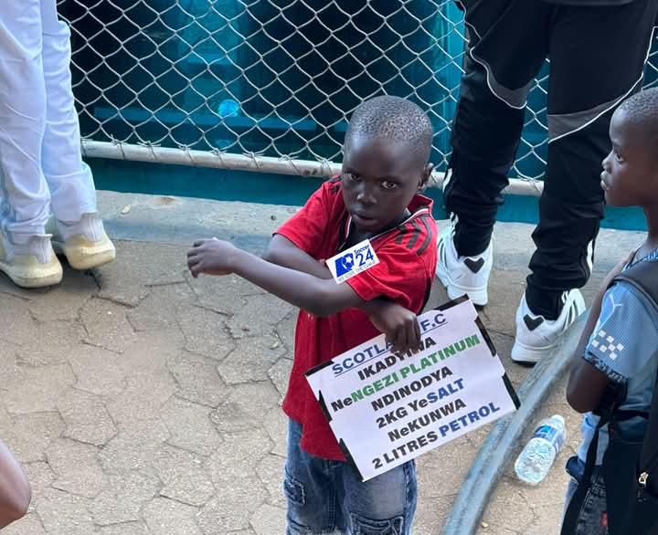 DeMbare DotComs tweet media