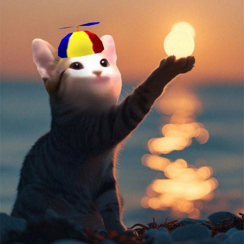 wowcat_sol's tweet photo. @POPCATSOLANA $wowcat is here with popcat https://t.co/APSJ3dcEks