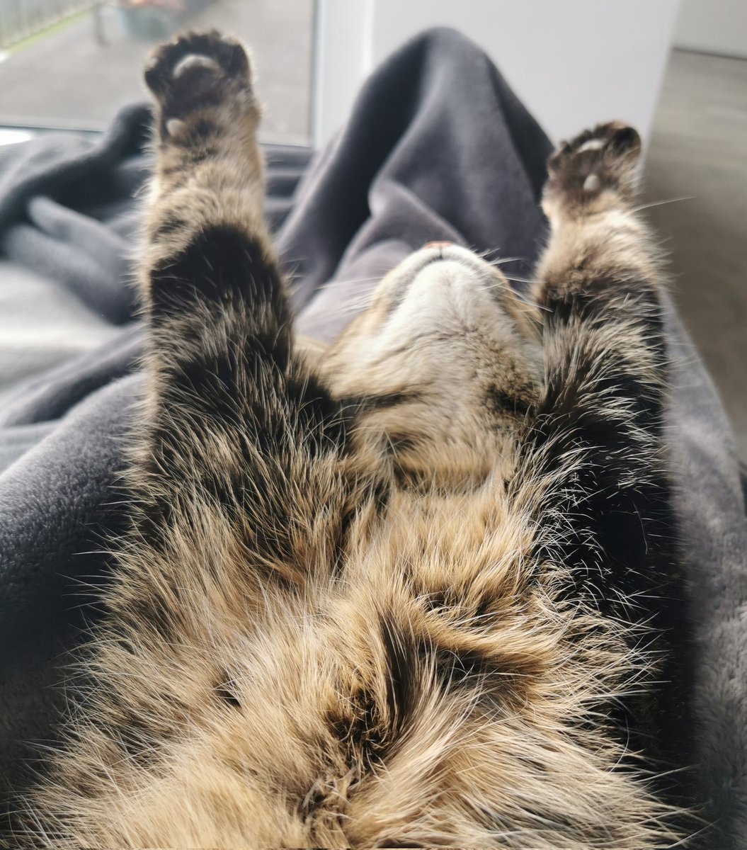 TanjaHanika's tweet photo. Feierabend liegt in der Luft 👻 https://t.co/G7BqzVmAP2