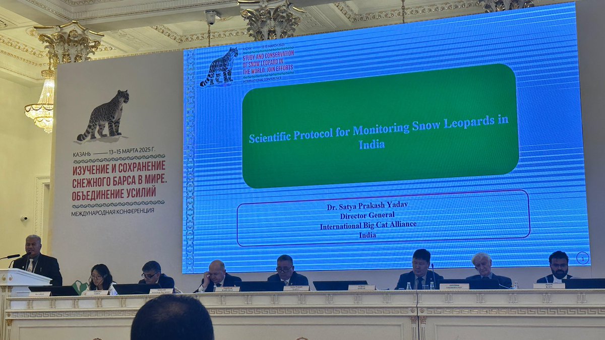 IBCA participated in the International Conference on ‘Study and Conservation of snow leopard in the World: Joining Efforts’, organized by the Russian Federation &amp; the Government of the Republic of Tatarstan at Kazan, Russia. 

IBCA's Interim Head, <a href="/SPYadavIFS/">SP Yadav</a> spoke on protocol of