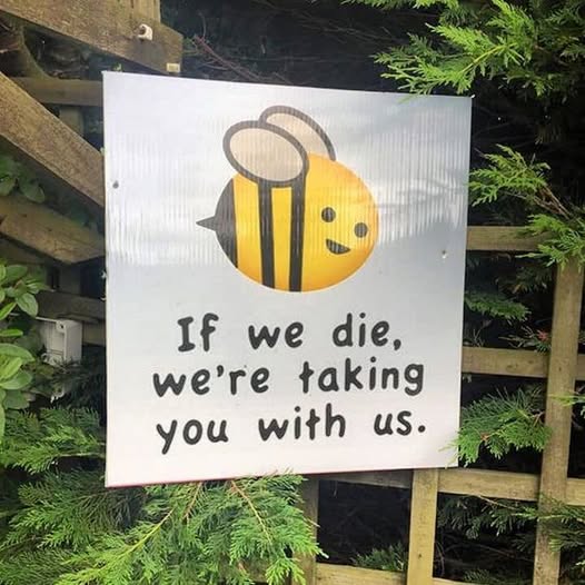 AmericanIndian8's tweet image. #INDIGENOUS #TAIRP