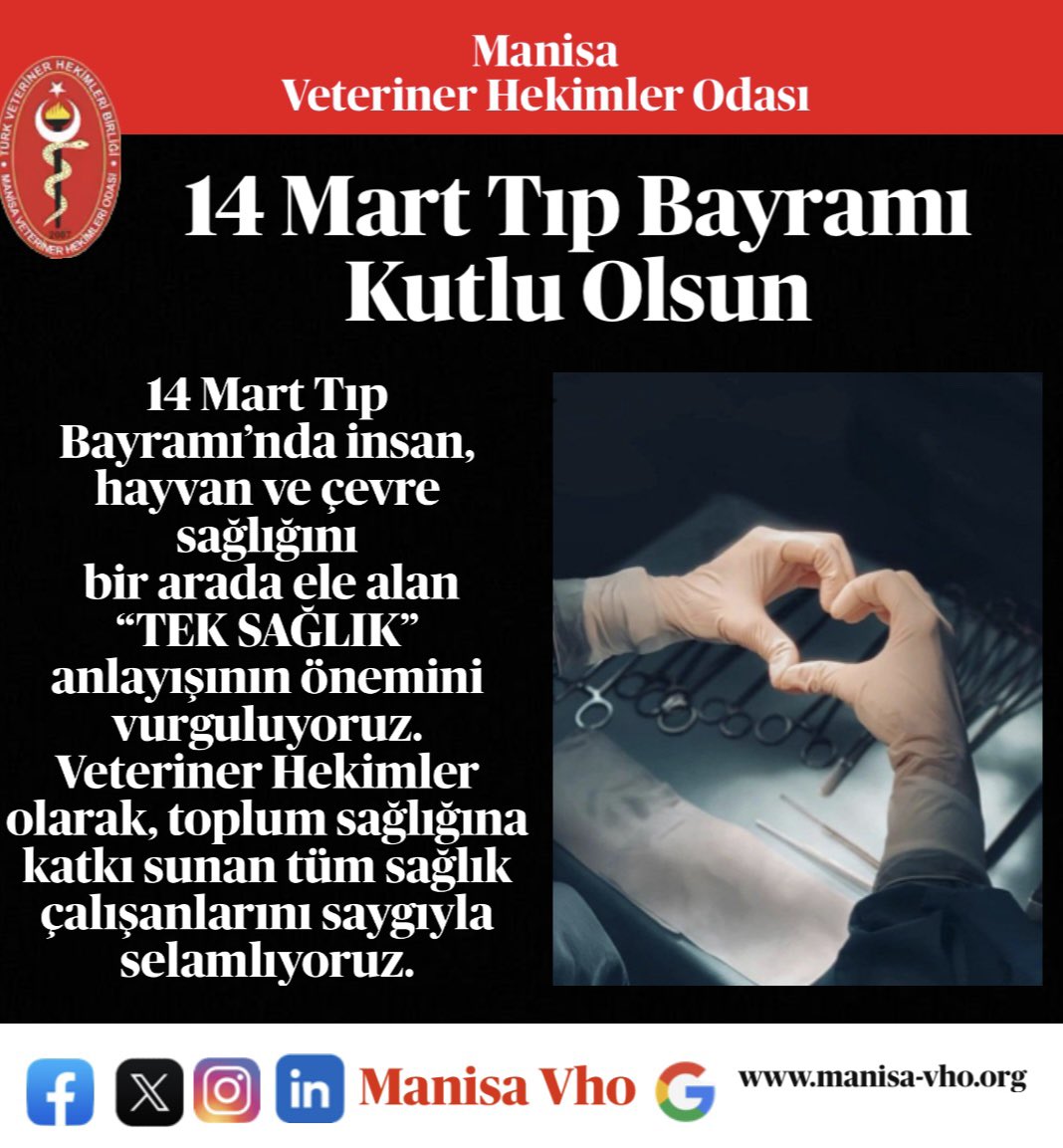 Manisa Vho (@vhomanisa) on Twitter photo 