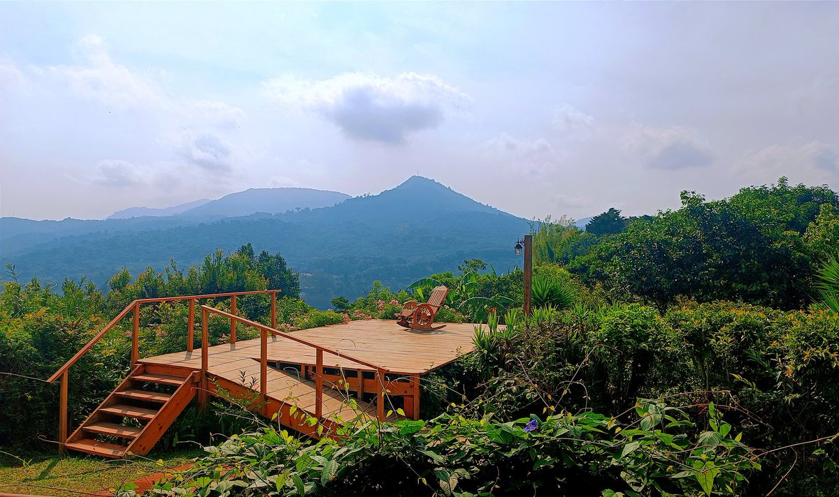 Manuel Gómez (@manuelgilmour) on Twitter photo 