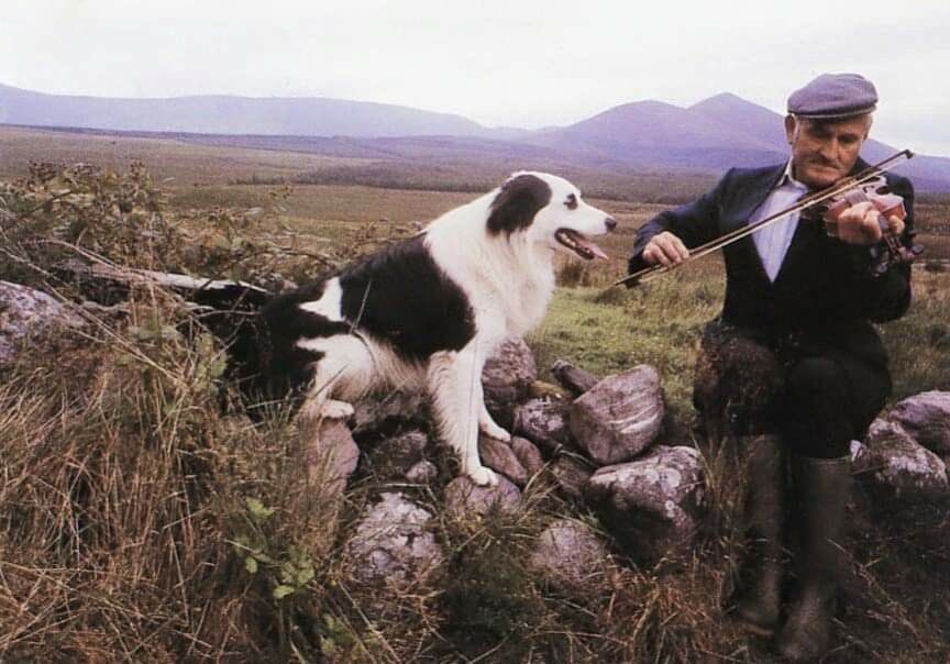 mads (@cntemporaries) on Twitter photo 