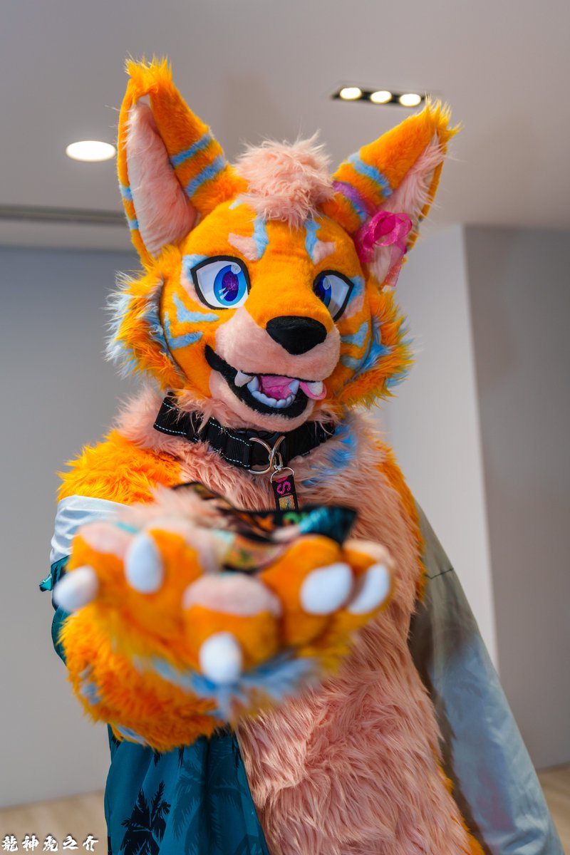 Lead me

📷：<a href="/RJToranosuke/">龍神 虎之介</a>
🪡：<a href="/wolf_daz/">Daza</a>

#FursuitFriday