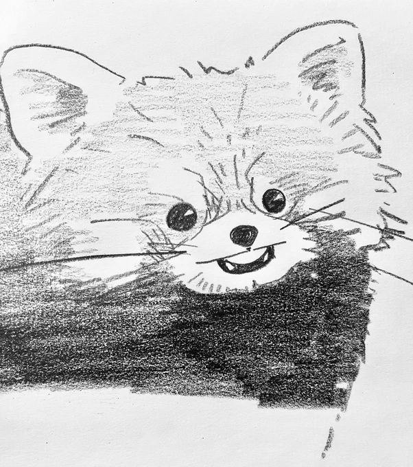 3色で描きたい気持ちと3色で描きたくない気持ちとで永遠に迷子レッサーパンダ 