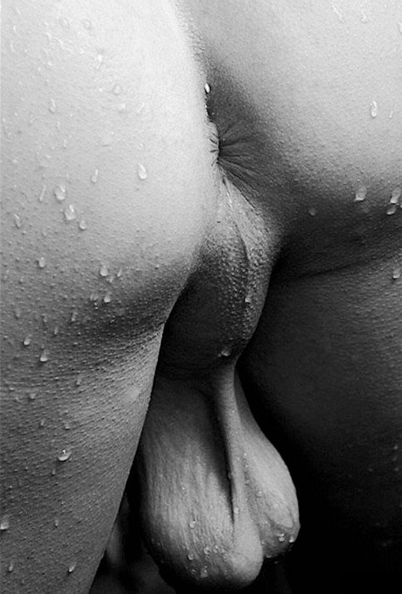 EGO Gay X  🔞 (@egogayx) on Twitter photo 