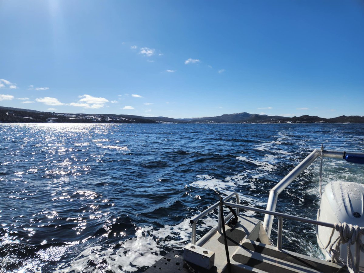 SchoolofOceanT2's tweet image. Master of Applied Ocean Technology students received hands-on training with the multi-beam system at the Launch in Holyrood today! 🌊🔍☀️ @marineinstitute #OceanTech #HandsOnLearning