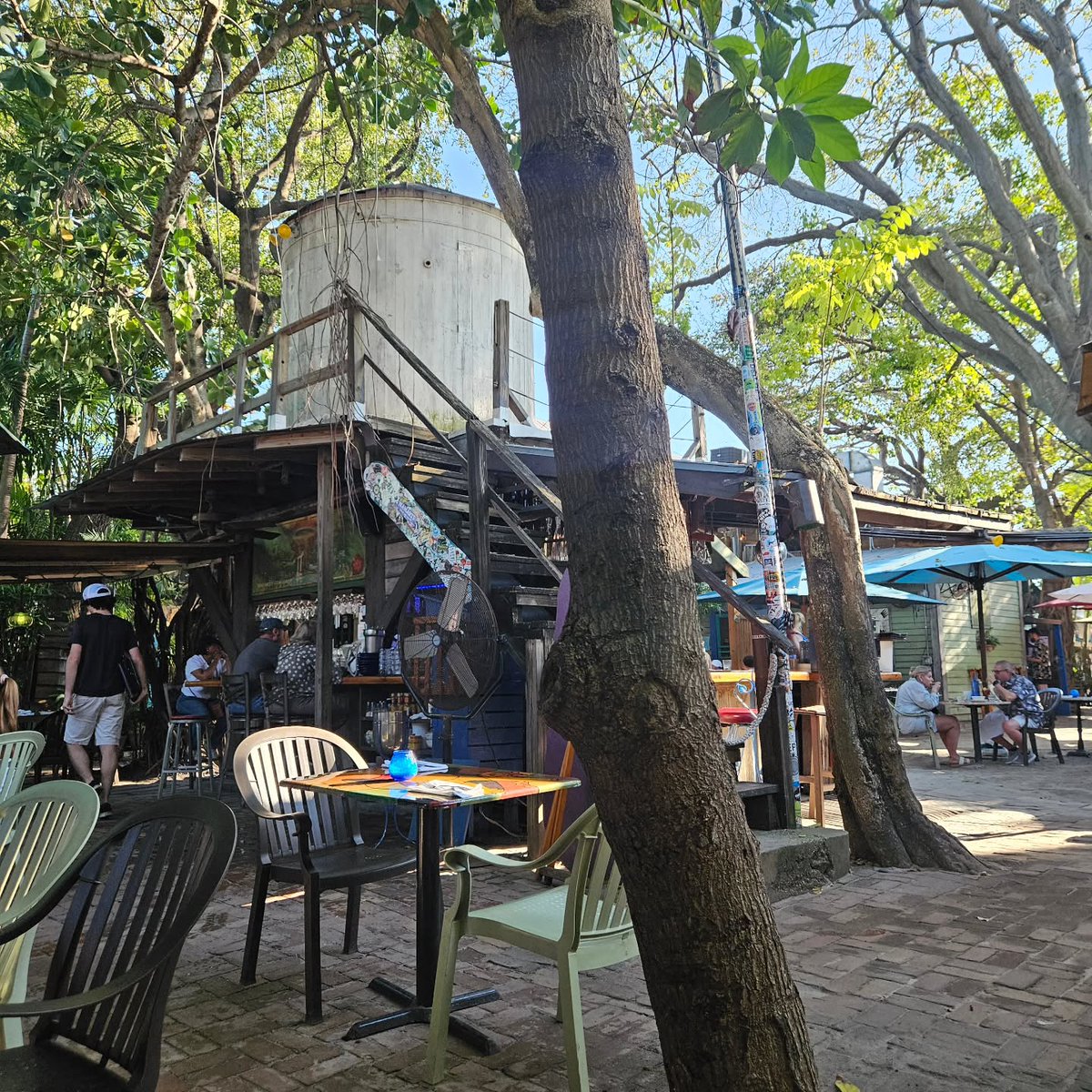 PartyInKeyWest's tweet image. Happy Friday! Time for a drink. #keywest #daydrinking #fridayfunday 📷 @hellolisa81

More: PartyinKeyWest.com/wp/
Follow us: @PartyInKeyWest
Hashtag us: #PartyInKeyWest