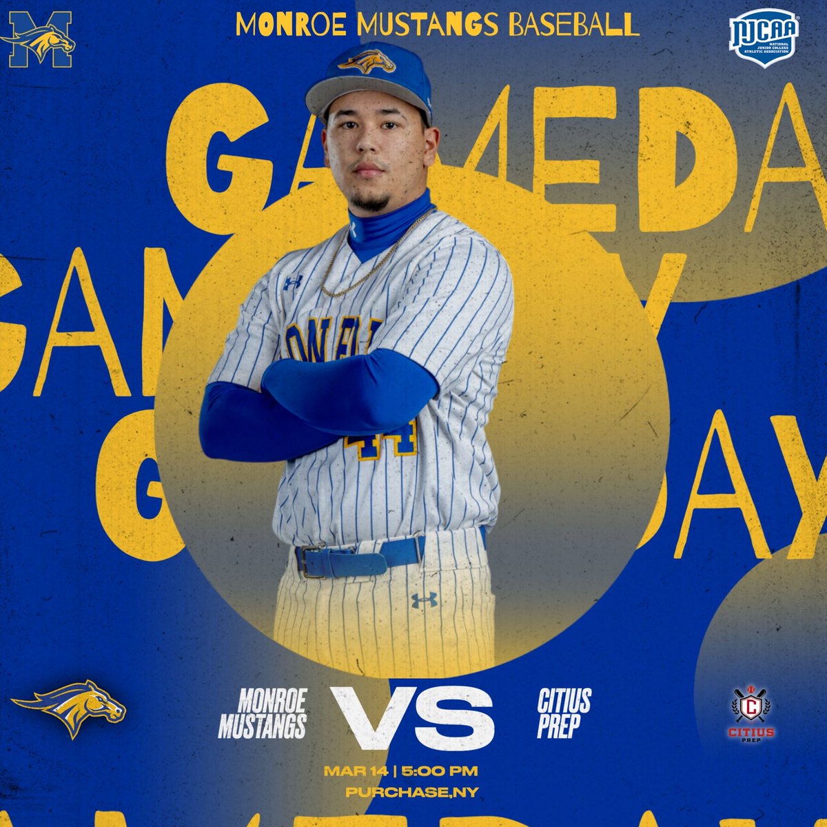 GAMEDAY!

The Mustangs take a short trip to Purchase, NY to take on Citius Prep at 5:00 PM this afternoon!

#GoHereGrowHere