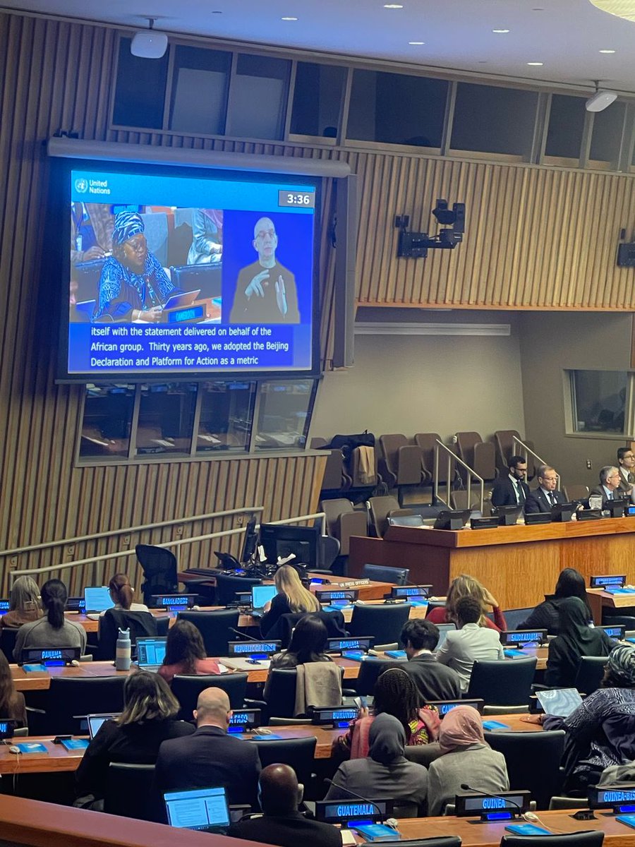 Reachoutreo's tweet photo. We’re proud to have our Deputy Director, @LundiAnne1  representing @reachoutdev1
 at #CSW69! This year’s focus on reviewing the Beijing Declaration &amp; advancing gender equality aligns with our mission to uplift marginalized women &amp; communities. https://t.co/MkCpjRva3N
