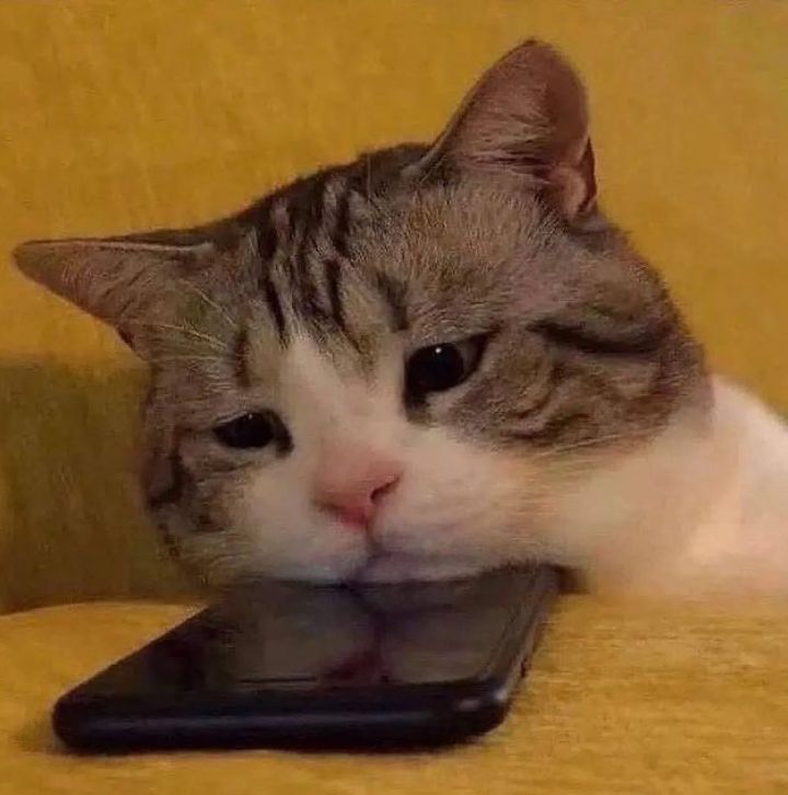 OonaLuna's tweet photo. @EggheadCobra Me knowing I have to wait 8 years for peak (I will gladly wait for more peak) https://t.co/e0bZtxVSS9
