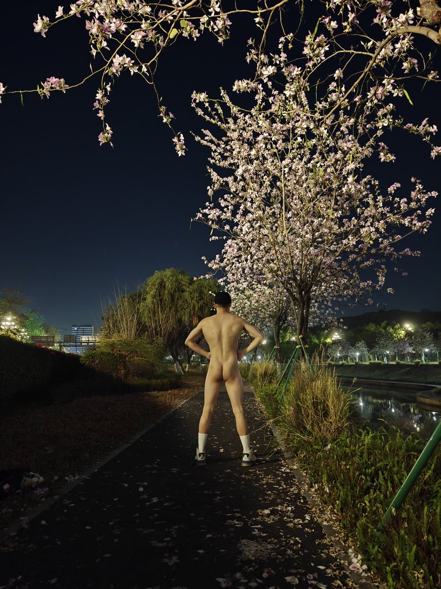 cantonnoname's tweet photo. 春 Spring https://t.co/THPMf5P3kx