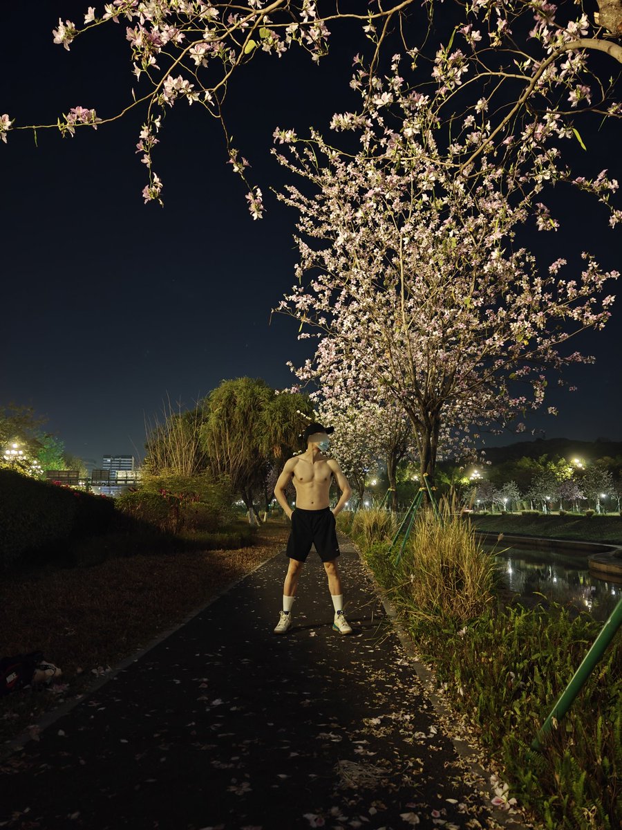 cantonnoname's tweet photo. 春 Spring https://t.co/THPMf5P3kx