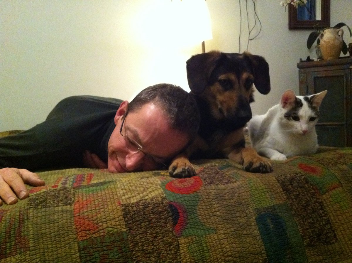 Daniel Landau tweet media