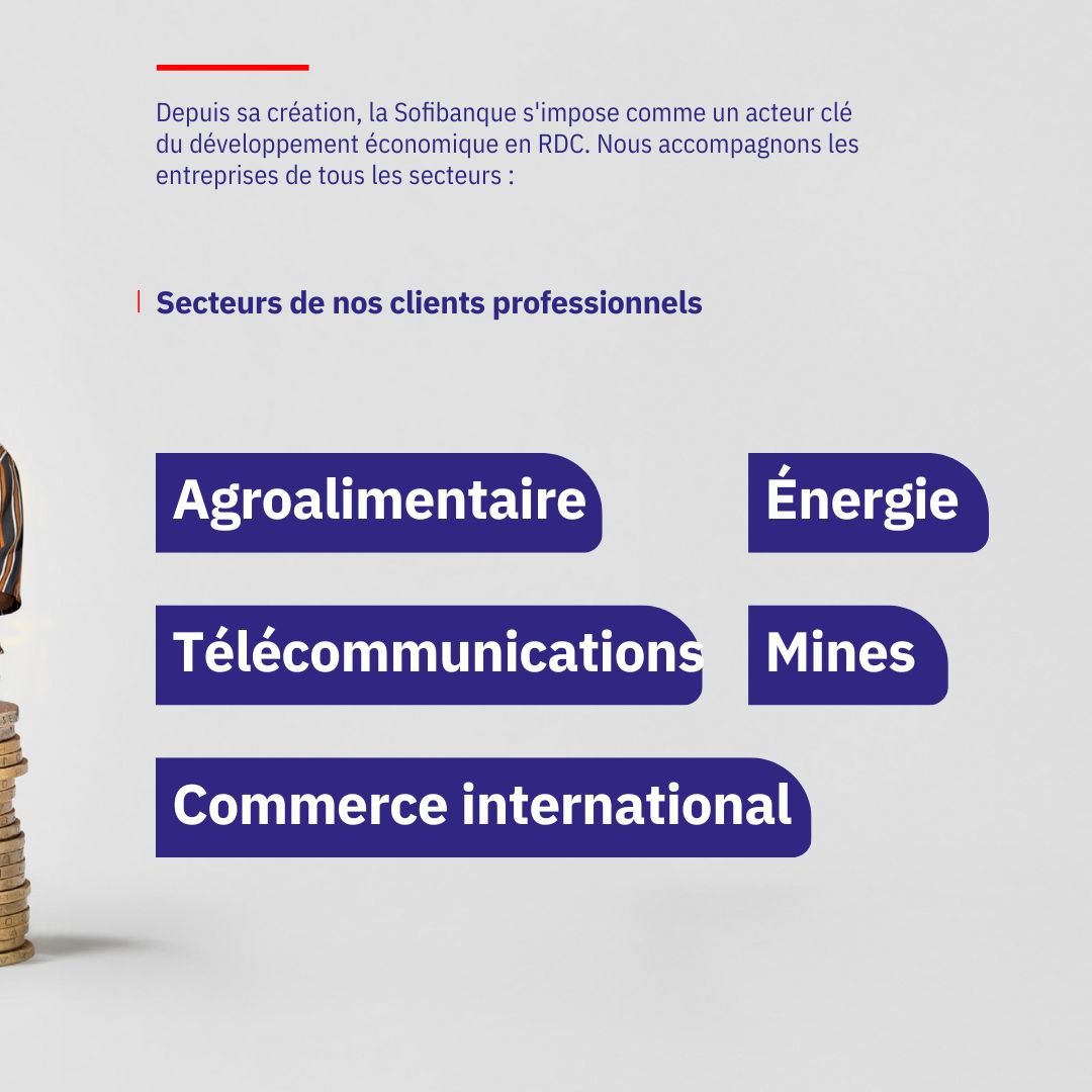 SOFIBANQUE SA tweet media