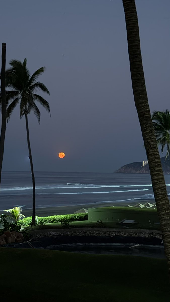 webcamsdemexico's tweet photo. Pregunta @danitafashion, que si hubo dos noches de eclipse o ¿solamente él lo vio? 
#Acapulco  #EclipseLunar 

Nadie habló del que ocurrió la noche del miércoles para jueves.
https://t.co/rPws5dwspS